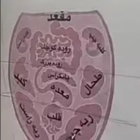 کاردرمنزل آموزش طب سنتی ورسیدن به درآمدعالی