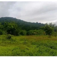 زمین-مسکونی-روستای-دیزکوه-با-ویو-ابدی-جنگل