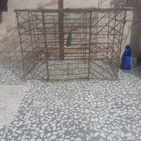 قفس‌آهنی|لوازم جانبی حیوانات|مزرعه کتول, |دیوار