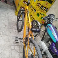 دوچرخه ویوا