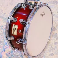 یک عدد سایدرام 20 قلوه با پوست زیر رو آمریکایی