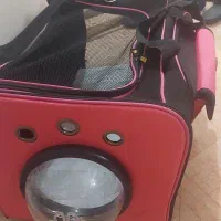 اسکرچر باکس جای خواب لوازم سگ و گربه|لوازم جانبی حیوانات|تهران, چوب تراش|دیوار