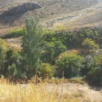 تور کویر
