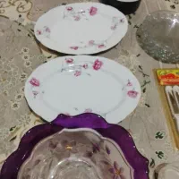 ظروف پذیرایی بصورت یکجا