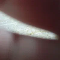 طلا پیدا شده با دادن مشخصات دقیق و وزن تحویل میدم