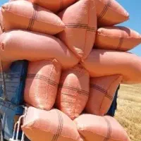 کاه تحویل درب منزل