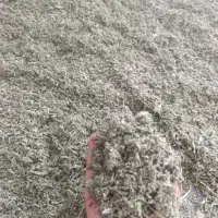 پونه