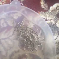 لوازم ماهیگیری درحد نو