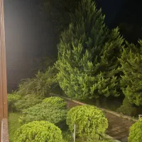 زمین جهت احداث کافه ای جدید در امام رضا۱۷