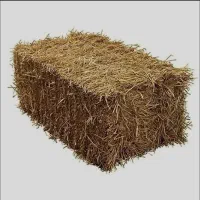 کاه برنج (کلوش)