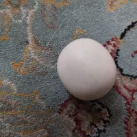 سنگ اسیاب
