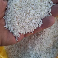 برنج معطر درجه یک شمال با خرید مستقیم از کشاورز
