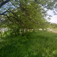 زمین مسکونی دیزج لیلی خانی