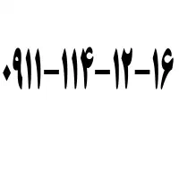 09111141216 فروشی