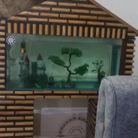 فروش آکواریوم کلبه ای به همراه ماهی