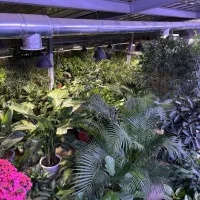 نیروی ساده ی گلخانه|استخدام خدمات فروشگاه و رستوران|تهران, جماران (نیاوران)|دیوار