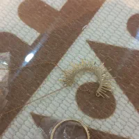 فروش طلا نو|جواهرات|مسجد سلیمان, |دیوار