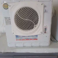 فروش کولرابی2800