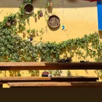 میز و نیمکت|صندلی و نیمکت|رشت, معلم|دیوار