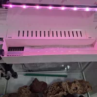 اکواریوم دلسا k 580 با کمد ام دی اف|ماهی|شیراز, انجیر|دیوار