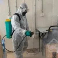 سمپاشی کنه ساس موریانه سوسک موش مورچ زنبورسمپاشی|خدمات نظافت|مشهد, وکیلآباد|دیوار
