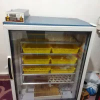 دستگاه جوجه کشی بلدرچین دماوند ۴۲۰تایی