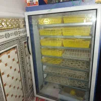 دستگاه جوجه کشی دماوند|لوازم جانبی حیوانات|هامون, |دیوار