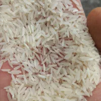 برنج فجر سوزنی گرگان|خوردنی و آشامیدنی|تهران, آذری|دیوار