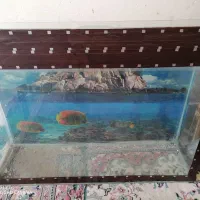 آکواریوم سالم