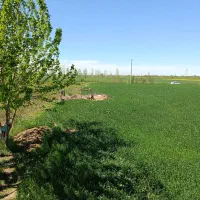 5نی-زمین-کشاورزی-روستای-حکیم-آباد-فندرسک