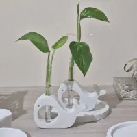 گلجای نهنگ برای سنبل یا گندم .هفت سین دریایی