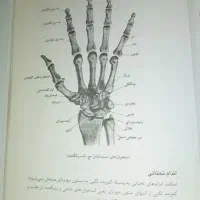 کتاب تمرینات قدرتی کل بدن ویژه مربیان و ورزشکاران|کتاب و مجله آموزشی|تهران, خواجه نظام الملک|دیوار