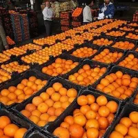 کارگر پرتغال چینی در ترکیه