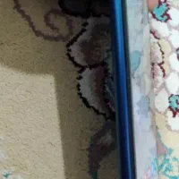 A12۱۲۸ram6|موبایل|کرمانشاه, |دیوار