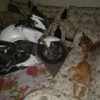 موتورآپاچی مدل ۹۲ بشرط .سالم .ازنظرموتورسالم|موتورسیکلت|خرمدره, |دیوار