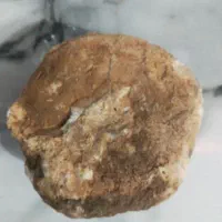 سنگ فسیل|کلکسیون اشیاء عتیقه|دلبران, |دیوار