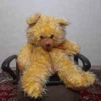 عروسک خرسی بزرگ