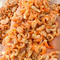 میگو خشک تازه و تمیز|خوردنی و آشامیدنی|شیراز, دروازه قران|دیوار