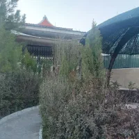 ویلا-باغ-فلت-285