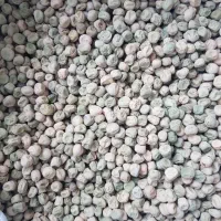 اسگارو (سمینس) نسل اول