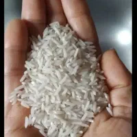 برنج ایرانی خرید مستقیم از برنجکار|خوردنی و آشامیدنی|بوشهر, |دیوار