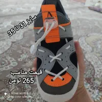 صندل