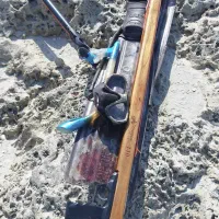 ماهیگیری و غواصی|ماهیگیری|بوشهر, |دیوار