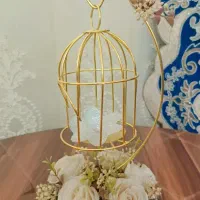 جا حلقه ای برای نامزدی