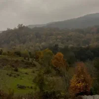 زمین-خوش-قواره
