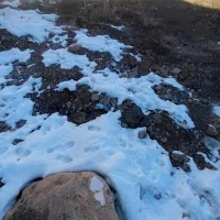 فروش فوری زمین مسکونی در کاظم آباد