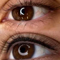 تخفیف استثنایی بن مژه و شیدینگ لب|خدمات آرایشگری و زیبایی|پیشوا, |دیوار