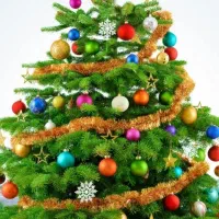 اموزش گام به گام زبان آلمانی