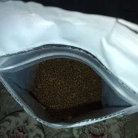 غذای ماهی گلفیش کوی|ماهی|مشهد, بهمن|دیوار