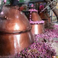 انواع عرقیات میمند مغز بنه بخورک زردالو عمده|عمده‌فروشی|شیراز, گلشن|دیوار